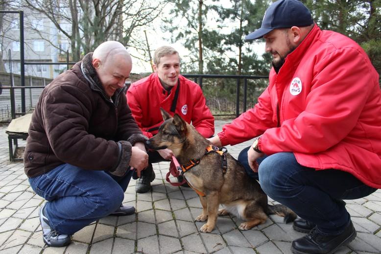 FOUR PAWS Ukraine Receives Award for Animal Assisted